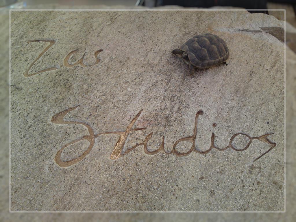 Zas Studios Naxos City Extérieur photo